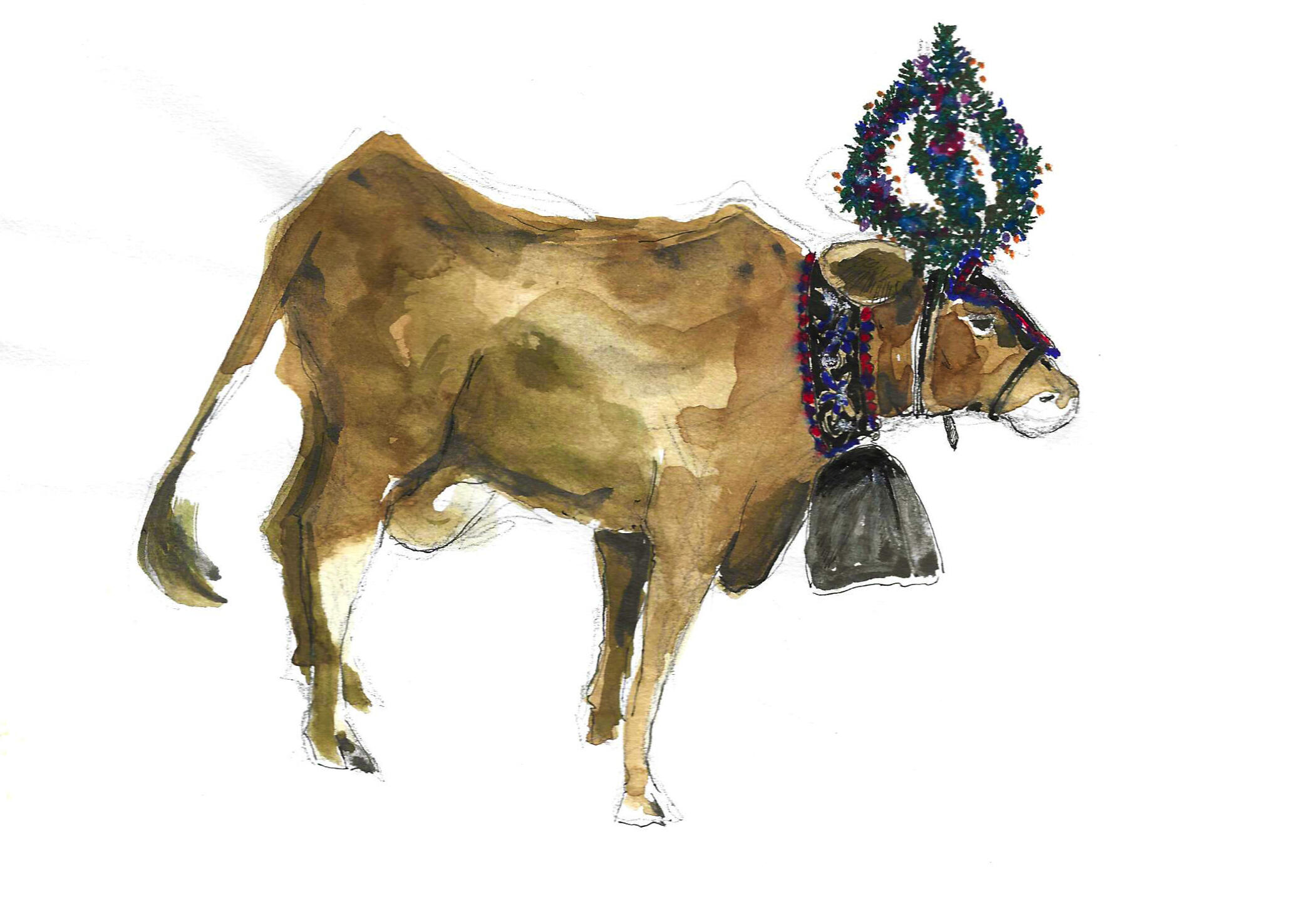 decorated cow