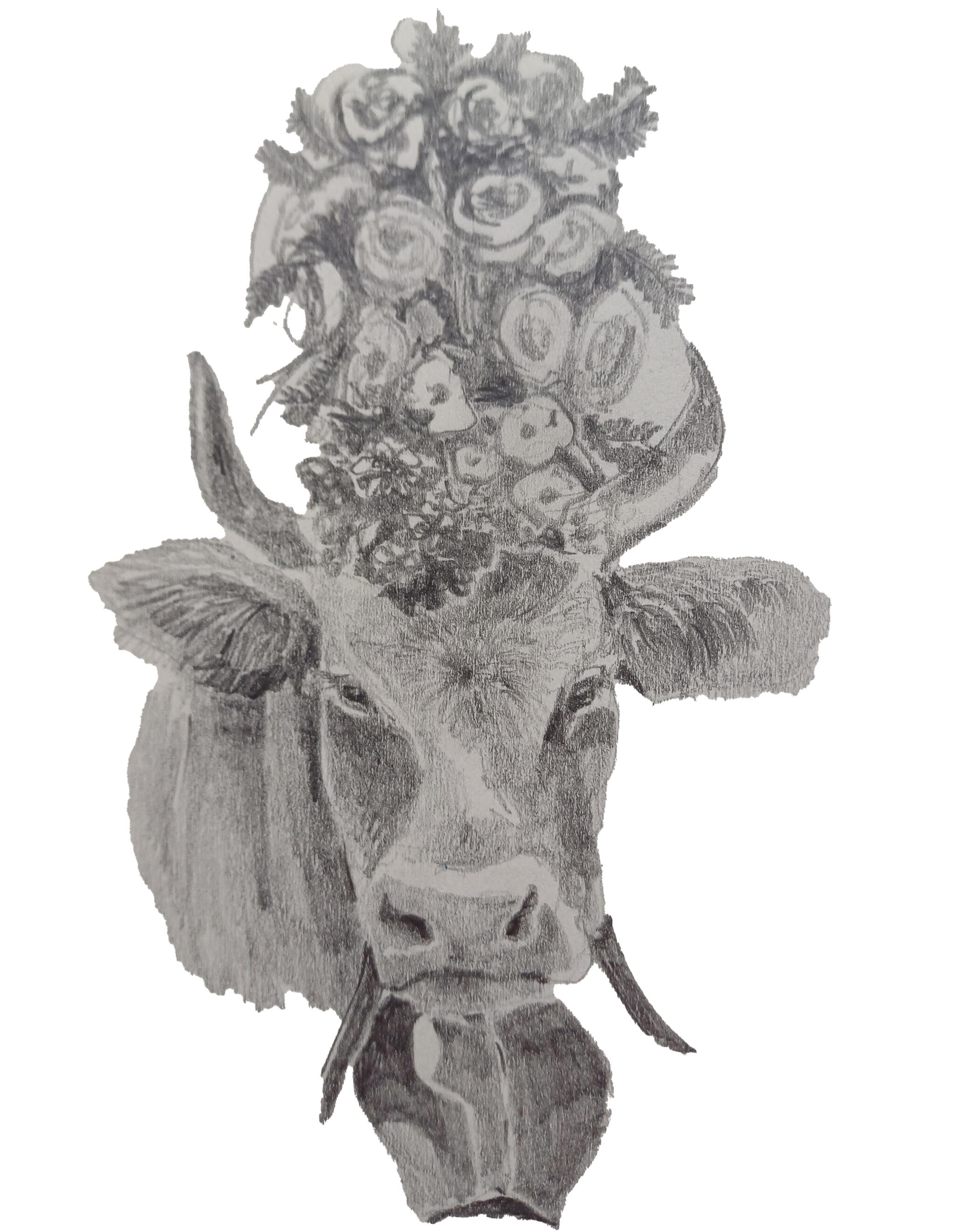 decorated cow